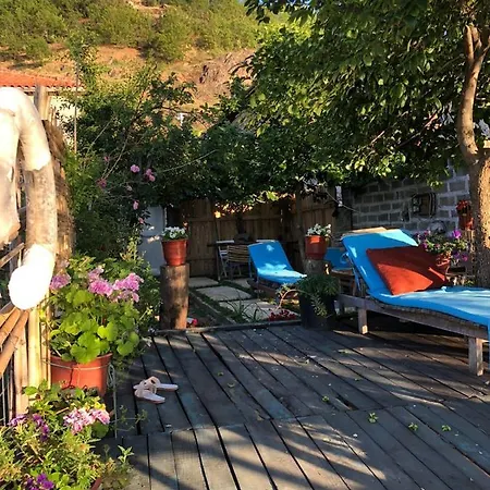 Rosas Affittacamere *