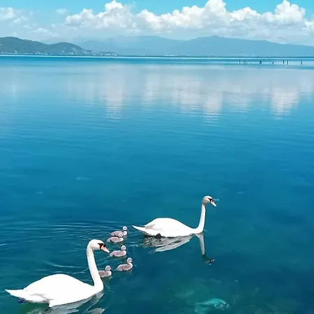 Pensionat Rosas Lini