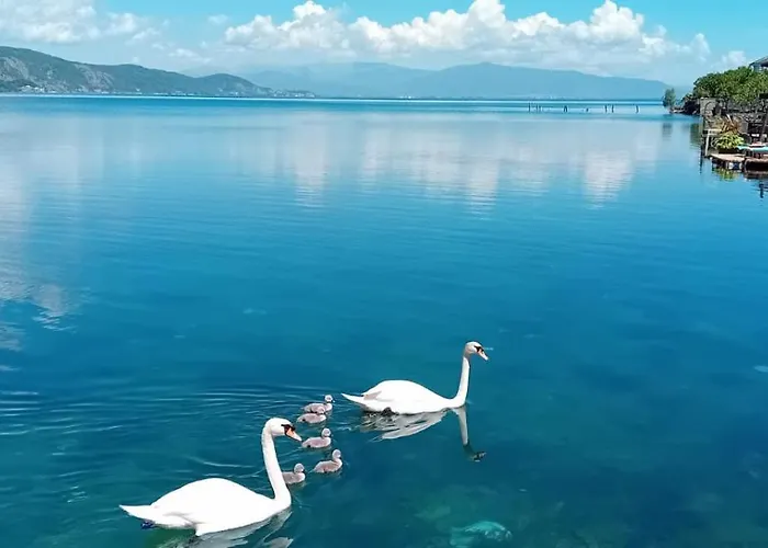 Gæstehus Rosas Lini